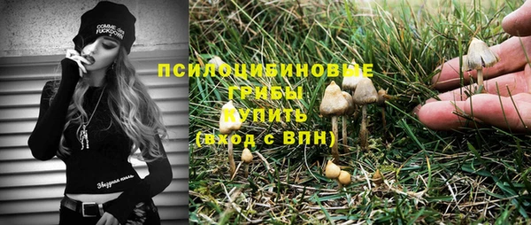 герыч Арсеньев
