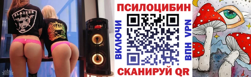 shop формула Можга Галлюциногенные грибы Psilocybe сколько стоит